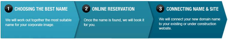 Steps of reservation of domain name