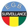 EGB-SURVEILLANCE