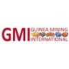 GMI (GUINEA MINING INTERNATIONAL)