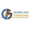 GLOBAL SUD CONSULTING