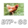 BTP-GS (BTP GENERAL SYSTEME)