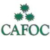 CAFOC (CABINET D'AUDIT DE FORMATION ET CONSEILLS)