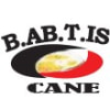 BABTIS CANE SARL BABTIS CANE SARL