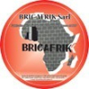 BRICAFRIK SARL