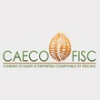 CAECO-FISC (CABINET D'AUDIT D'EXPERTISE COMPTABLE ET FISCALE)