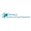 NCE SARL (N'HOLLE CONSULTING ET EXPERTISE)