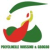 POLYCLINELLE WOSSINU ET GBOGBO