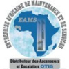 EAMS SARL (ENTREPRISE AFRICAINE DE MAINTENANCE ET DE SERVICES)
