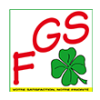 FULL GIVING SERVICES (FGS SARL)