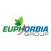 EUPHORBIA GROUP