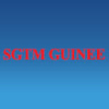 SGTM (SOCIETE GUINEENNE DE TRANSIT ET MANUTENTION)