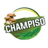 CHAMPISO