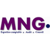 MNG AUDIT & CONSULTING