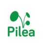 PILEA BENIN