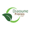 DIAOUNE ET FRERES SARL