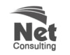 NET CONSULTING ETUDES & CONSEIL