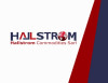 HALLSTROM COMMODITIES SARL