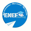 ENEF CONSULTING
