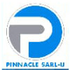 PINNACLE GROUP SARL U