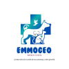 EMMOGEO SERVICES