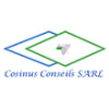 COSINUS CONSEILS