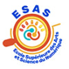 ESAS (ECOLE SUPERIEURE DES ARTS ET SCIENCE DU NUMERIQUE)