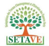 SETAVE- SENEGALAISE DES TRAVAUX D'AMENAGEMENT ET D'ENTRETIEN DES ESPACES VERTS