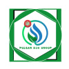 PULSAR ECO GROUP