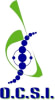 GROUPE OCSI