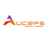 Auceps Digital agency