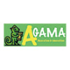 AGAMA DECORATION