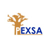 Pôle Excellence et Solutions Afrique