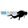 TARA PLONGEE