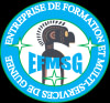 ENTREPRISE DE FORMATION ET MULTI-SERVICES DE GUINEE ENTREPRISE DE FORMATION ET MULTI-SERVICES DE GUINEE