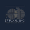 BUSINESS FINANCE SUARL INC