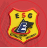 ELITMATIC SECURITY GROUP