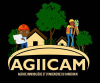 Agence Immobilière et d’Ingénierie du Cameroun (Agiicam)