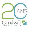 GOODWILL AUDIT & CONSULTING