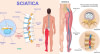 Joint, Sciatica & Nerve Pain Natural Medicine Center