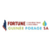 FORTUNE CONSTRUCTION CONSORTIUM GUINEE FORAGE SA