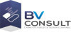 BV CONSULT