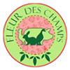 FLEUR DES CHAMPS