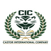 CASTOR INTERNATIONAL COMPANY