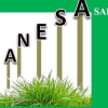 ANESA SARL