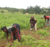 DEVELOPPEMENT RURAL ET SOCIAL