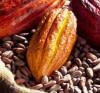 Vente de café – cacao