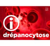 Traitement de la Drépanocytose