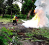 Formation (Ecole de feu)