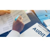 Assistance en audit fiscal