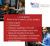 Licences Professionnelles (3 ans)